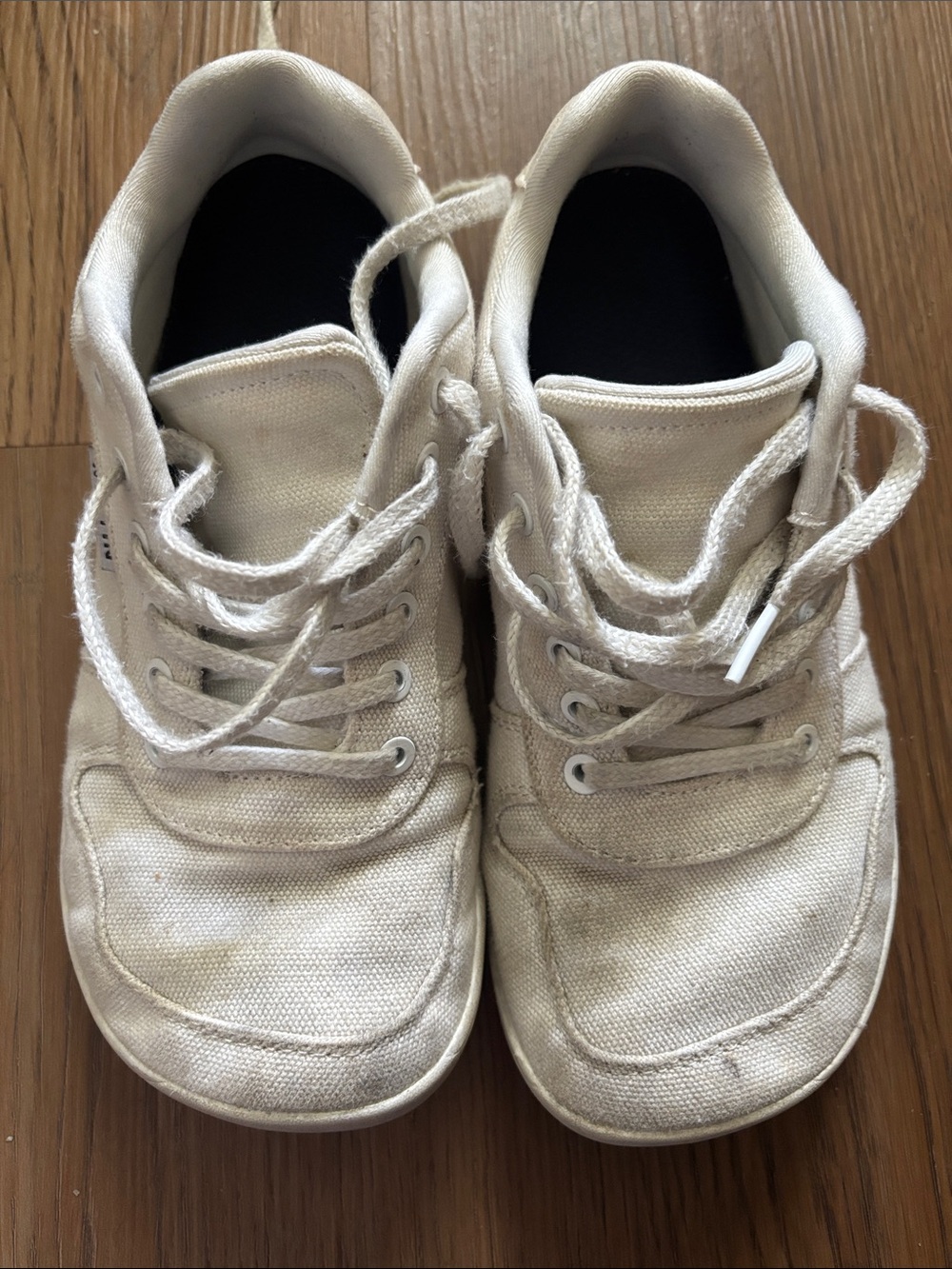 Whitin White Canvas Lace-Up Sneakers